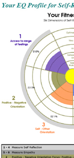 Emotional Intelligence Workshops
