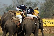 Jay Kubassek - Nepal Elephants