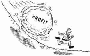 Business Plan Maximize Profit